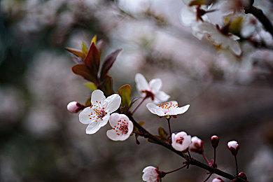 《守望先锋2》发布第10赛季预告 新英雄“探奇”上线